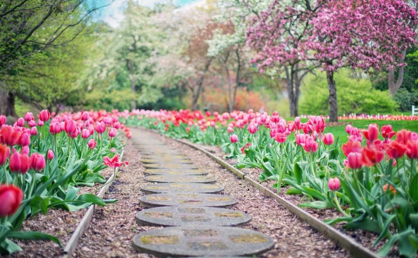 Piękny oraz porządny ogród to zasługa wielu godzin spędzonych  w jego zaciszu w trakcie pielegnacji.