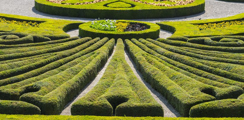 W jaki sposób efektywnie stworzyć przestrzeń zieloną? Kompleksowy instrukcja dla entuzjastów ogrodnictwa